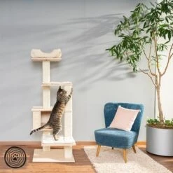 Natural Paradise Scratching Tree - Orchid Vanda L