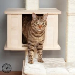 Natural Paradise Scratching Tree - Orchid Vanda L -Zooplus Shop 75552 np kb qiii 1000x1000 logo la mg 5796 4