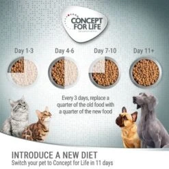 Concept For Life Kitten – In Gravy 7 Concept For Life Kitten – In Gravy -Zooplus Shop 7 cfl board feeding 1000x1000 1 5 6