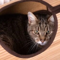 Natural Retreat Radiator Cat Bed -Zooplus Shop 80410 heizungsliege natural retreat fg 9182 9