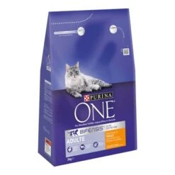 Purina ONE Adult Chicken Dry Cat Food