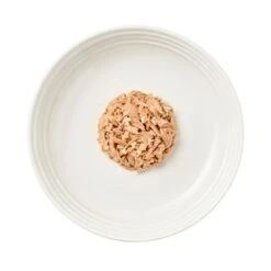 Encore Cat Tin Saver Pack 48 X 70g -Zooplus Shop 82371 applaws catfood wet fish selection multipack hs 03 6