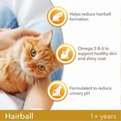 IAMS For Vitality Adult Hairball Reduction Fresh Chicken Dry Cat Food -Zooplus Shop 8710255127064 5