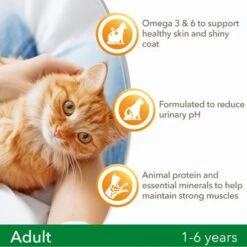 IAMS For Vitality Adult Lamb Dry Cat Food -Zooplus Shop 8710255127200 4