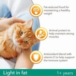 IAMS For Vitality Light In Fat Adult Fresh Chicken Dry Cat Food -Zooplus Shop 8710255127637 3 9