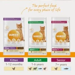 IAMS For Vitality Kitten Fresh Chicken Dry Cat Food -Zooplus Shop 8710255127736 3 3