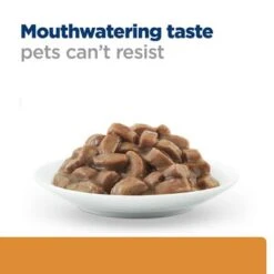 Hill's Prescription Diet Feline K/d Kidney Care -Zooplus Shop 93 pd kd pouch salmon cat bk27531m food look uk 3