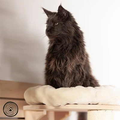 Natural Paradise Wall Scratching Board - Dahlia 9 Natural Paradise Wall Scratching Board - Dahlia - Image 7