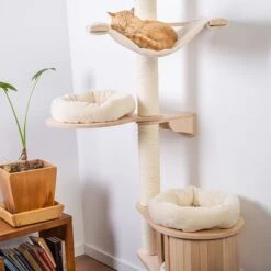 Natural Paradise Wall Scratching Tree - Magnolia -Zooplus Shop 99397 naturalparadise wandkratzbaum magnolia hs 06 9