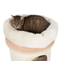 Natural Paradise Scratching Barrel - Sunflower -Zooplus Shop 99936 kt np diagonal xl fg 5538 2