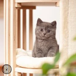 Natural Paradise Scratching Barrel - Lily 13 Natural Paradise Scratching Barrel - Lily -Zooplus Shop 99937 np kt pb 1000x1000 logo la mg 6231 6