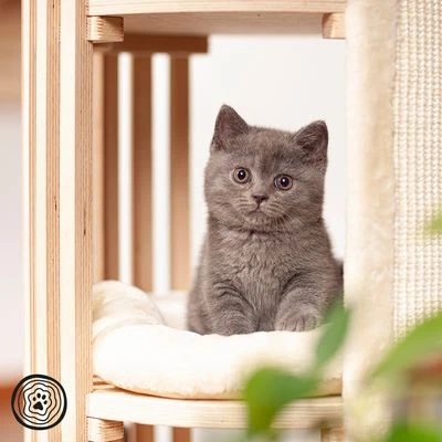 Natural Paradise Scratching Barrel - Lily 6 Natural Paradise Scratching Barrel - Lily - Image 4