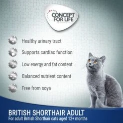 Concept For Life British Shorthair Adult - In Ragout 9 Concept For Life British Shorthair Adult - In Ragout -Zooplus Shop cfl cat wet board british shorthair adult 6