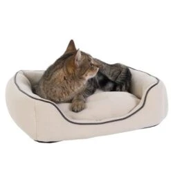 Vanilla Cat Bed -Zooplus Shop dsc1253 0