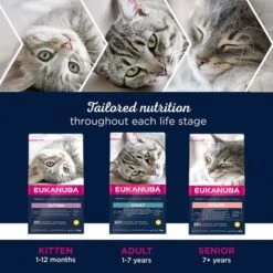 Eukanuba Healthy Start Kitten -Zooplus Shop eukanuba dcf life phases 8