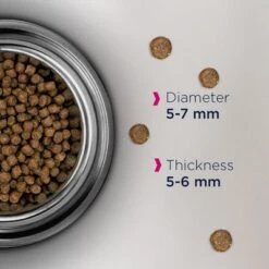 Eukanuba Healthy Start Kitten -Zooplus Shop eukanuba healthy start kitten dcf foodshot 8