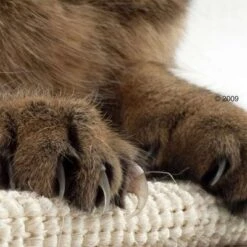 Trixie Sisal Cat Scratching Board -Zooplus Shop katzen kratzmatte1 1