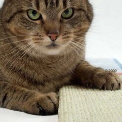 Trixie Sisal Cat Scratching Board -Zooplus Shop katzen kratzmatte2 1