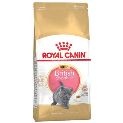 Royal Canin British Shorthair Kitten 4 Royal Canin British Shorthair Kitten - Image 2