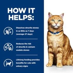 Hill's Prescription Diet Feline C/d Multicare Urinary Care -Zooplus Shop pd cd multicare cat bk20177 bk25948m bk26382m bk27563m bk28017 how helps uk 4