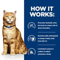 Hill's Prescription Diet Feline C/d Multicare Urinary Care -Zooplus Shop pd cd multicare cat bk20177 bk25948m bk26382m bk27563m bk28017 how works uk 1