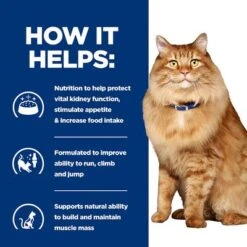 Hill’s Prescription Diet Feline K/d+Mobility Kidney+Joint Care -Zooplus Shop pd kd mobility cat bk24069m bk27533m how helps uk 9