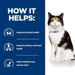 Hill's Prescription Diet Feline Y/d Thyroid Care -Zooplus Shop pd yd cat bk26252m bk32822 how helps uk 1