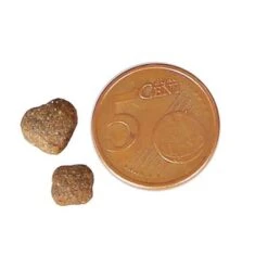 GranataPet DeliCatessen Kitten Poultry -Zooplus Shop pla krokettenbild kitten 6