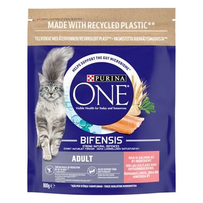 Purina ONE Adult Salmon & Whole Grains Dry Cat Food - Image 4