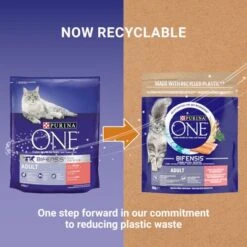 Purina ONE Adult Salmon & Whole Grains Dry Cat Food -Zooplus Shop purina one adult lachs mit vollkorngetreide uk 03 6