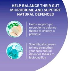 Purina ONE Adult Salmon & Whole Grains Dry Cat Food -Zooplus Shop purina one adult lachs mit vollkorngetreide uk 08 7