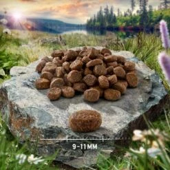 Purizon Adult Grain-Free Dry Cat Food Economy Pack -Zooplus Shop purizon cat adult chicken fish 9 11 mm p4 6