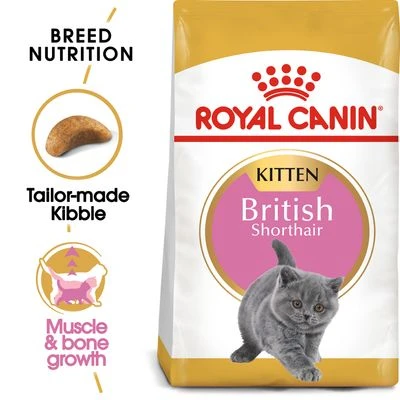 Royal Canin British Shorthair Kitten 3 Royal Canin British Shorthair Kitten