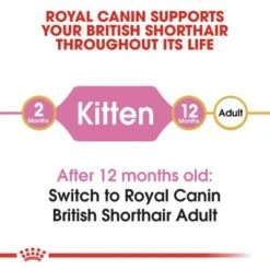 Royal Canin British Shorthair Kitten 11 Royal Canin British Shorthair Kitten -Zooplus Shop rc fbn kittenbritishshorthair cv1 001 uk english 9