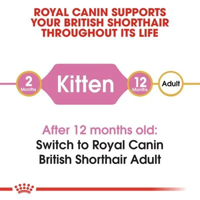 Royal Canin British Shorthair Kitten 7 Royal Canin British Shorthair Kitten - Image 5