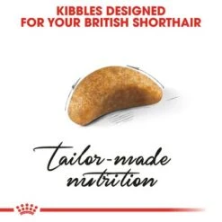 Royal Canin British Shorthair Kitten 9 Royal Canin British Shorthair Kitten -Zooplus Shop rc fbn kittenbritishshorthair cv3 017 uk english 9