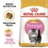 Royal Canin Persian Kitten -Zooplus Shop rc fbn kittenpersian breed kitten 000 uk english 0