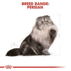 Royal Canin Persian Adult -Zooplus Shop rc fbn persian cv eretailkit 1 3