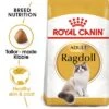 Royal Canin Ragdoll Adult -Zooplus Shop rc fbn ragdoll mv eretailkit 6