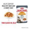 Royal Canin Hair & Skin Care In Jelly -Zooplus Shop rc fcn hair skinpouchjelly 1 en gb 1
