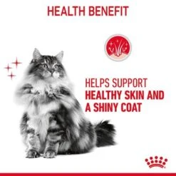 Royal Canin Hair & Skin Care In Jelly -Zooplus Shop rc fcn hair skinpouchjelly 6 en gb 5
