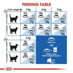 Royal Canin Indoor Appetite Control -Zooplus Shop rc fhn indoorappetitecontrol cv eretailkit 4 2