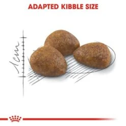 Royal Canin Outdoor 7+ 13 Royal Canin Outdoor 7+ -Zooplus Shop rc fhn outdoor7 cv eretailkit 3 0