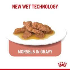 Royal Canin Indoor Sterilised 7+ In Gravy -Zooplus Shop rc spt wet ind7stergravy page 5 1 3