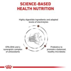 Royal Canin Veterinary Cat – Gastrointestinal Fibre Response -Zooplus Shop rc vet dry catgastrofr eretailkit b1 page 4 8