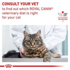 Royal Canin Veterinary Feline Sensitivity Control -Zooplus Shop rc vet dry catsensctrl b1 page 7 2