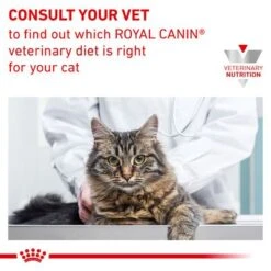 Royal Canin Veterinary - Gastrointestinal -Zooplus Shop rc vet wet catgastromcmig eretailkit b1 page 9 3