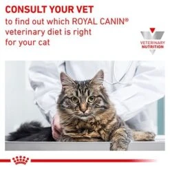 Royal Canin Veterinary - Renal With Chicken -Zooplus Shop rc vet wet catrenchicktsig eretailkit b1 cv 7 med res basic 5