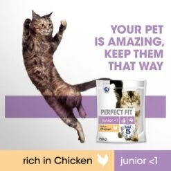 Perfect Fit Junior <1 Rich In Chicken -Zooplus Shop si06 2