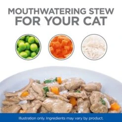 Hill's Science Plan Adult Sterilised Healthy Cuisine With Chicken & Salmon -Zooplus Shop sp healthy cuisine thumbnails cat bowl 9